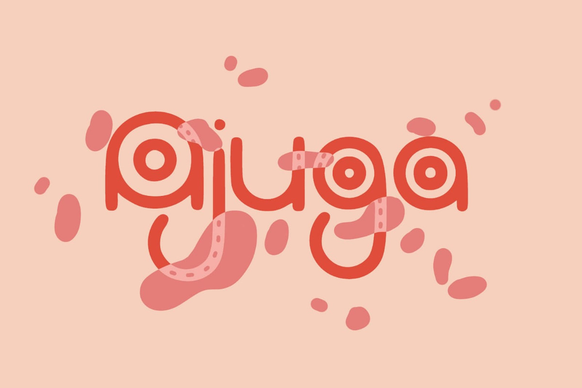 Ajuga, a Font by Daily Studio (Photo 1 of 5)