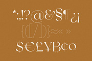 New York, a Serif Font by nevsky.type (Thumbnail 11 of 14)