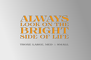 TroxeLMS, a Serif Font by glukfonts (Thumbnail 4 of 9)