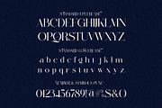 Malcine Modern Serif Typeface, a Serif Font by Alfinart (Thumbnail 9 of 10)
