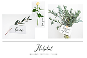 Habital, a Script Font by Larin Type Co. (Thumbnail 6 of 7)