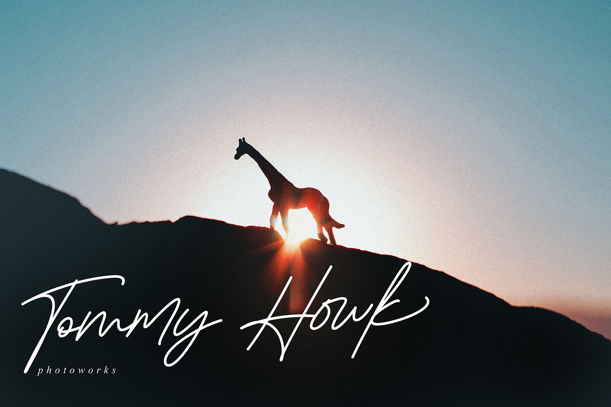 Emillont, a Script Font by ngene (Photo 10 of 11)