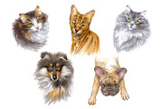 Dogs and Cats portraits, an Object Graphic by ViktoriArt (Thumbnail 2 of 8)