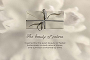 Botanical Patina Backgrounds, a Background Graphic by DigARTbyHavroshka (Thumbnail 6 of 12)