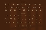 Enitta Elegant Serif Font, a Serif Font by Perfectype (Thumbnail 8 of 8)