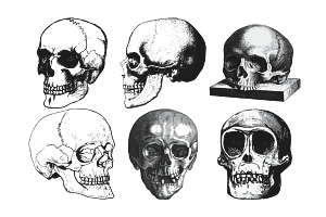 Vintage Skull Set 1 Procreate Brush