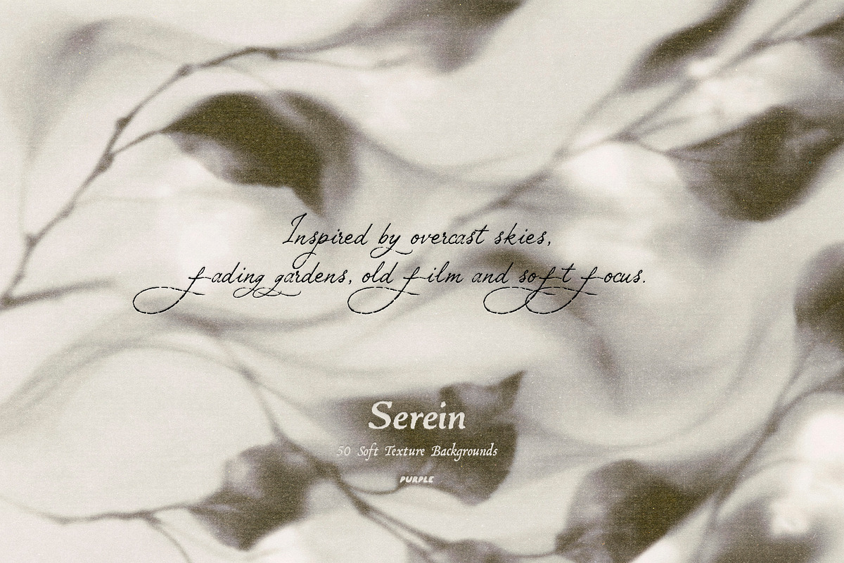 Serein: Fine Art Texture Backgrounds, a Background Graphic by Purple (Photo 2 of 10)