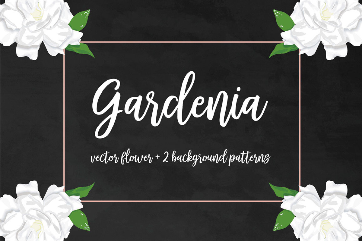 Gardenia Flower Clipart, an Illustration by Anis Illustration (Photo 1 of 3)