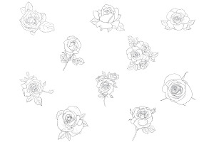 Rose Outlines Set 1 Procreate Brush