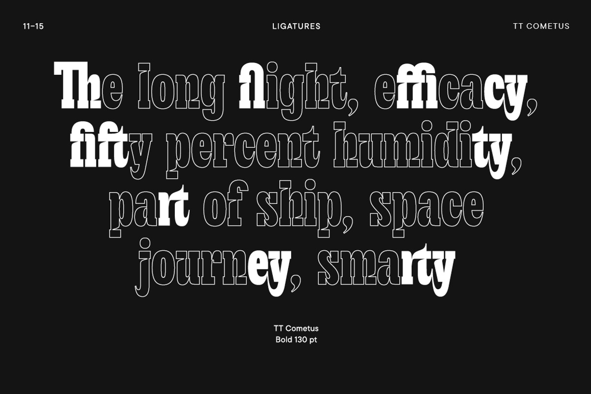 TT Cometus, a Sans Serif Font by TypeType (Photo 11 of 15)