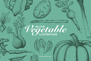Hand-Drawn Vegetable Illustrations