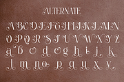 Shine Heels - Elegant Beauty Serif, a Serif Font by Qweera Studio (Thumbnail 10 of 12)