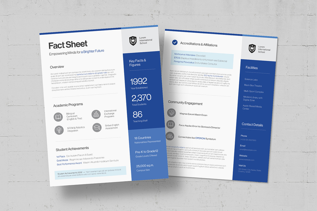 Fact Sheet Template, a Flyer Template by BrandPacks