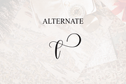 Vintage | Script Font, a Handwritten Font by Scratchones (Thumbnail 8 of 9)