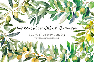 Watercolor Oliva Branch Clipart Png