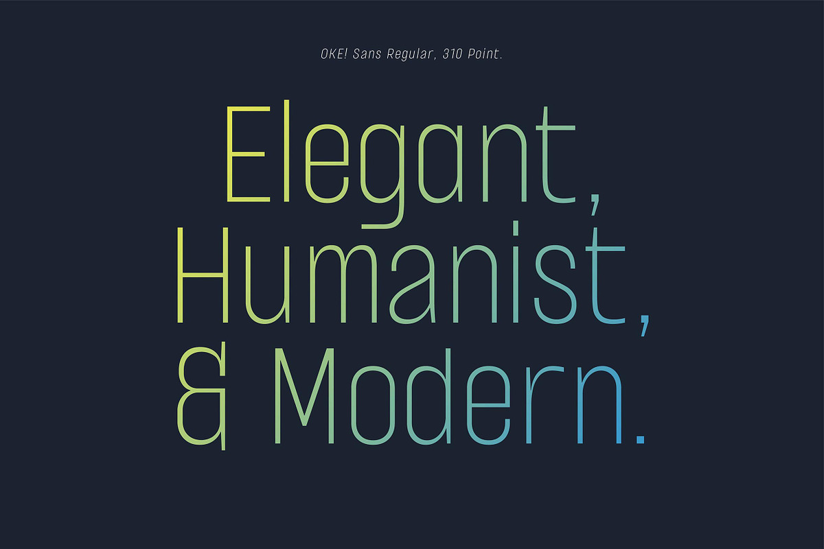 OKE! Sans Family ( Variable Fonts ), a Sans Serif Font by Paperwitch (Photo 3 of 15)