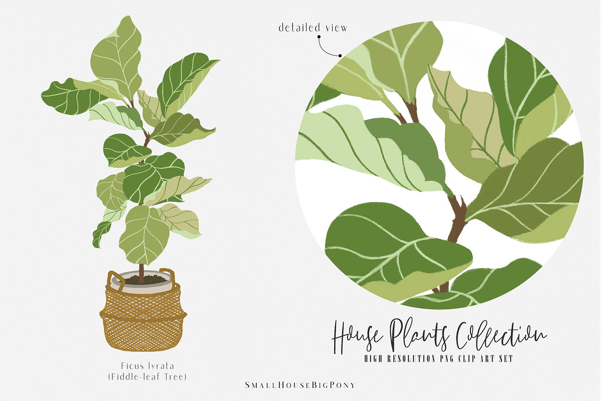 House Plants Collection, a Graphic by SmallHouseBigPony (Photo 9 of 18)