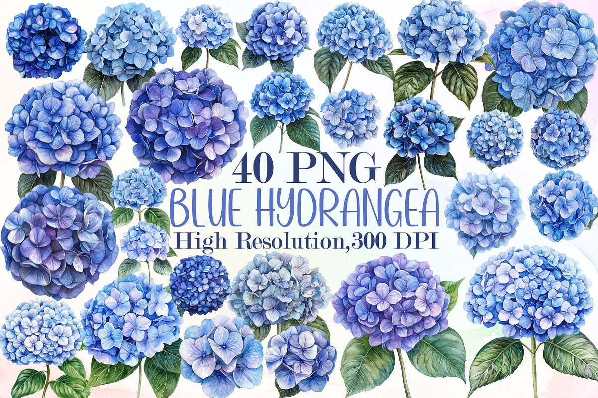 Blue Hydrangea Watercolor Clipart, an Illustration by Sublimation Artist (Photo 1 of 6)