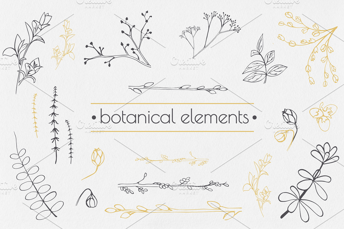 Hand drawn herbal kit, a Healthcare Illustration by Manaraga (Photo 2 of 14)