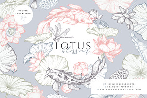 Lotus Blossom Vector Collection