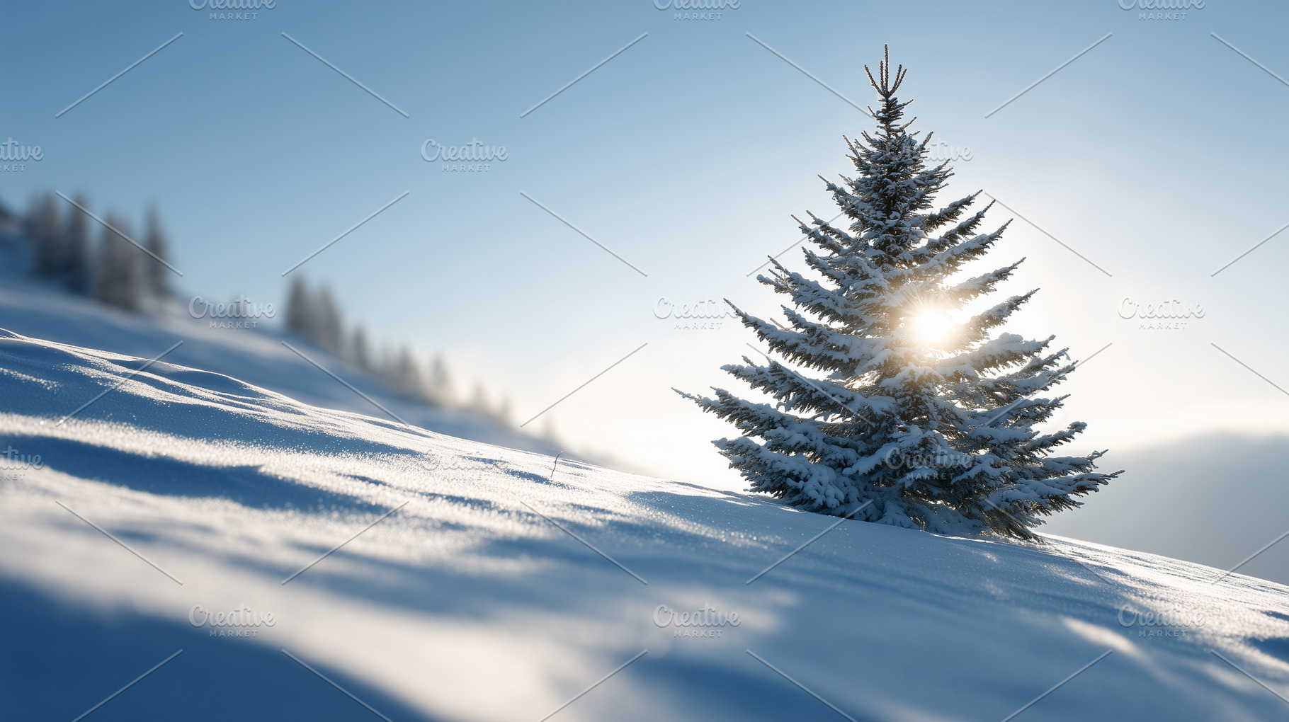 Beautiful snow-covered pine tree, a Nature Photo by MistyDay