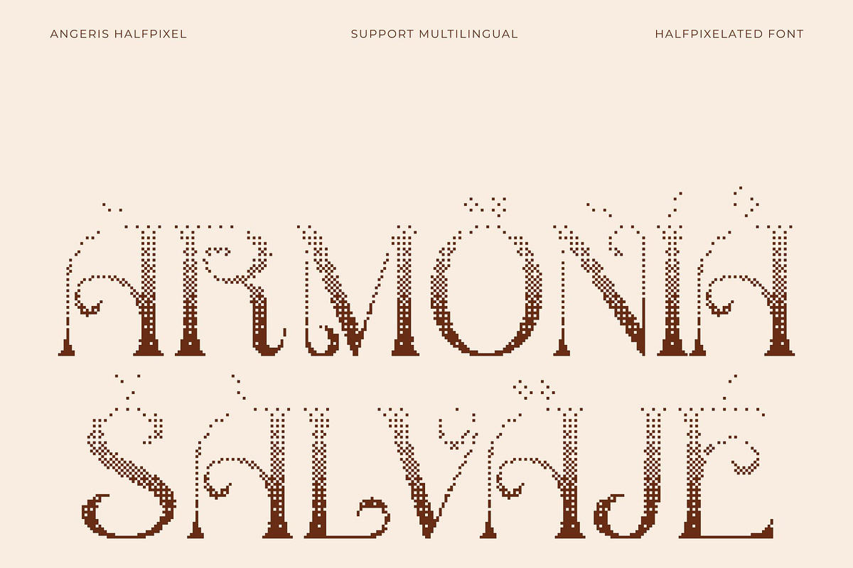 Angeris Halfpixel, a Serif Font by Craft Supply Co. (Photo 7 of 8)