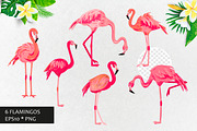 Tropical flamingo, vector., an Illustration by VaraNa Art (Thumbnail 3 of 14)
