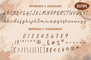 Brown Maple Font Duo, a Script Font by AnningArts (Thumbnail 8 of 8)