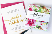 Pleasures Script + Extras, a Script Font by Nicky Laatz (Thumbnail 3 of 11)