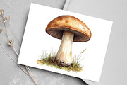 Watercolor Minimalist Autumn Clipart, an Illustration by Canvas Craft (Thumbnail 6 of 7)