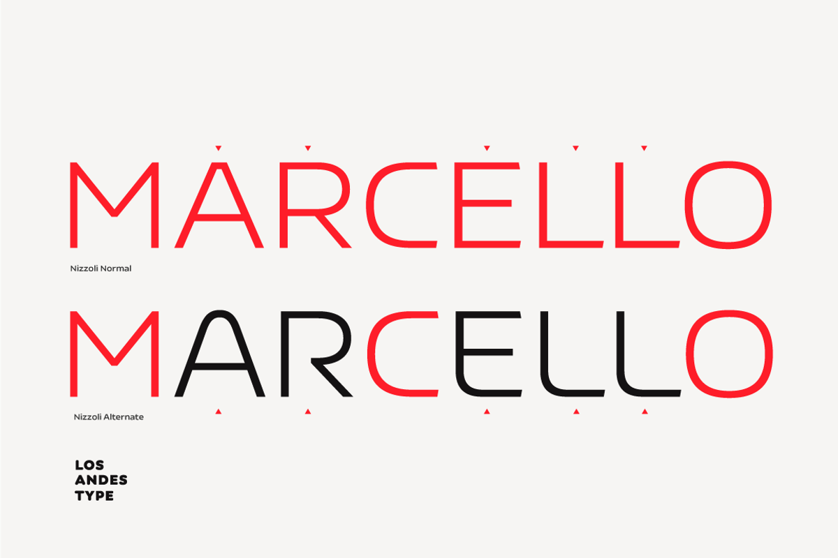Nizzoli, a Sans Serif Font by Los Andes Type (Photo 10 of 16)