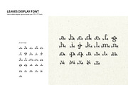 Leaves Display Cap Font, a Font by CC CREATIVE CO (Thumbnail 4 of 4)