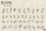 Botany Line Art Collection, a Decorative Illustration by Skliarova (Thumbnail 3 of 10)