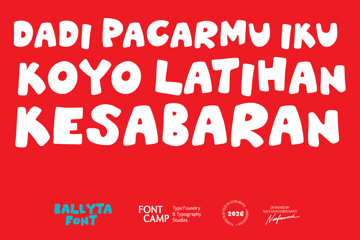 Ballyta Font, a Handwritten Font by Fontcamp Type Foundry (Photo 13 of 18)