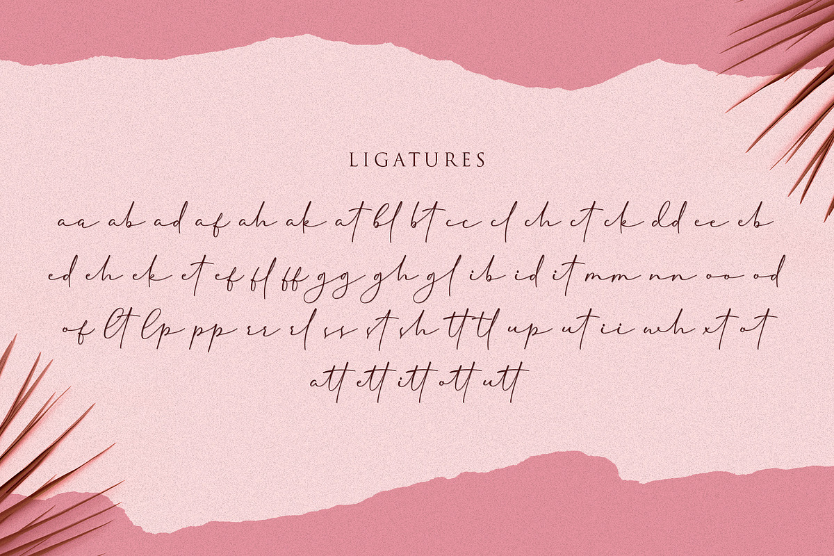 Cherolina-Lovely Elegant Script, a Script Font by Almarkhatype (Photo 12 of 13)