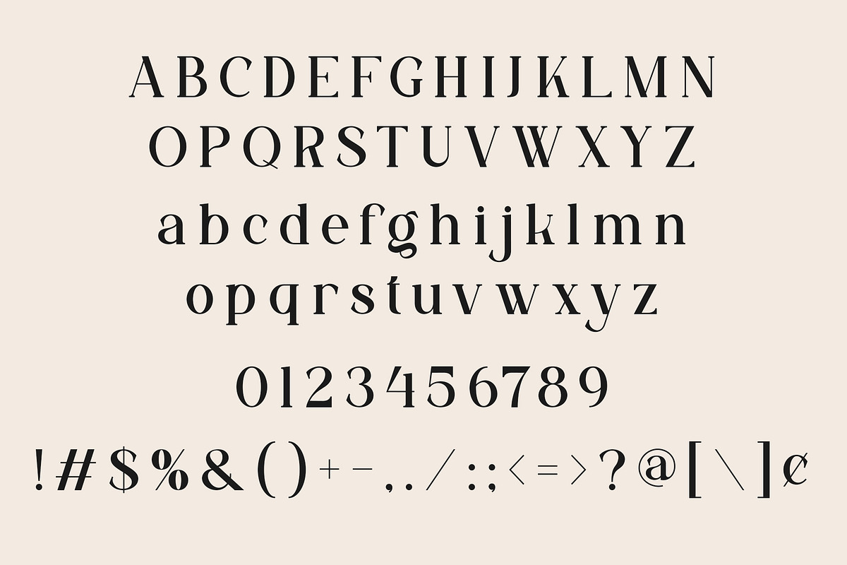 ERITO - Modern Ligature Typface, a Serif Font by AnnofaType (Photo 6 of 8)