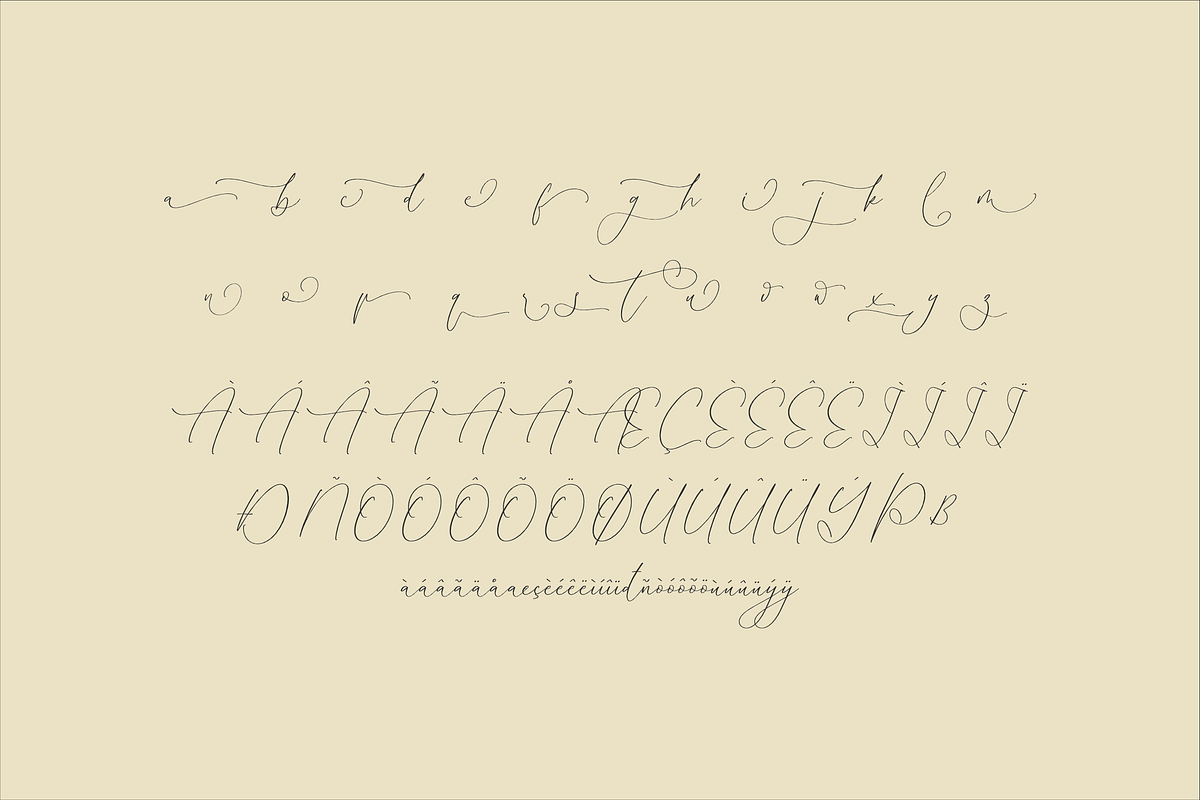 Homylane Dreamyntine Chic Calligraph, a Script Font by Storytype Studio (Photo 13 of 15)