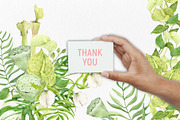 Tropical Flowers. Exotic flora set, an Illustration by Tata Pilip (Thumbnail 21 of 21)