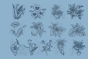 25 Vintage Flora Illustrations, an Illustration by Alpha Mike Foxtrot (Thumbnail 3 of 5)