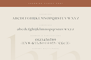 Charming - Classy & Decorative Font, a Serif Font by Sensatype (Thumbnail 12 of 21)