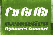 Callista, a Script Font by Karandash (Thumbnail 4 of 5)