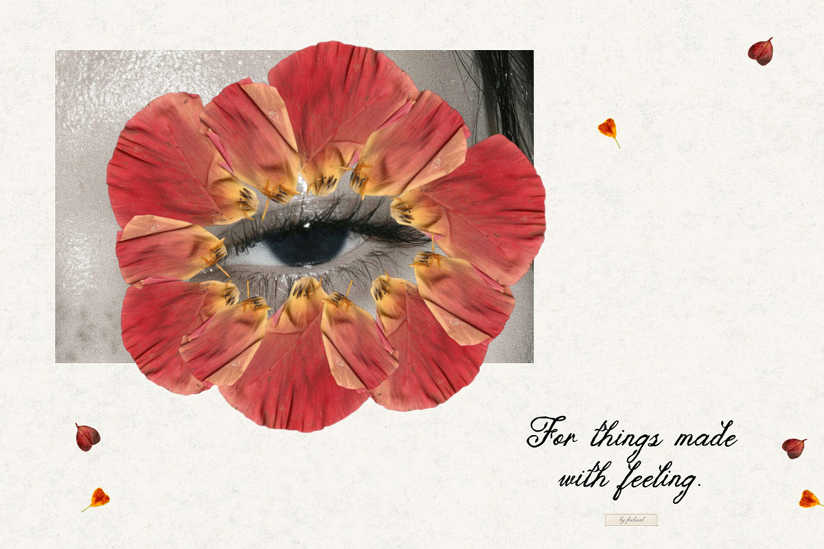 Tender Flora: Botanical Scrapbook, an Object Graphic by Feelsoul (Photo 7 of 10)