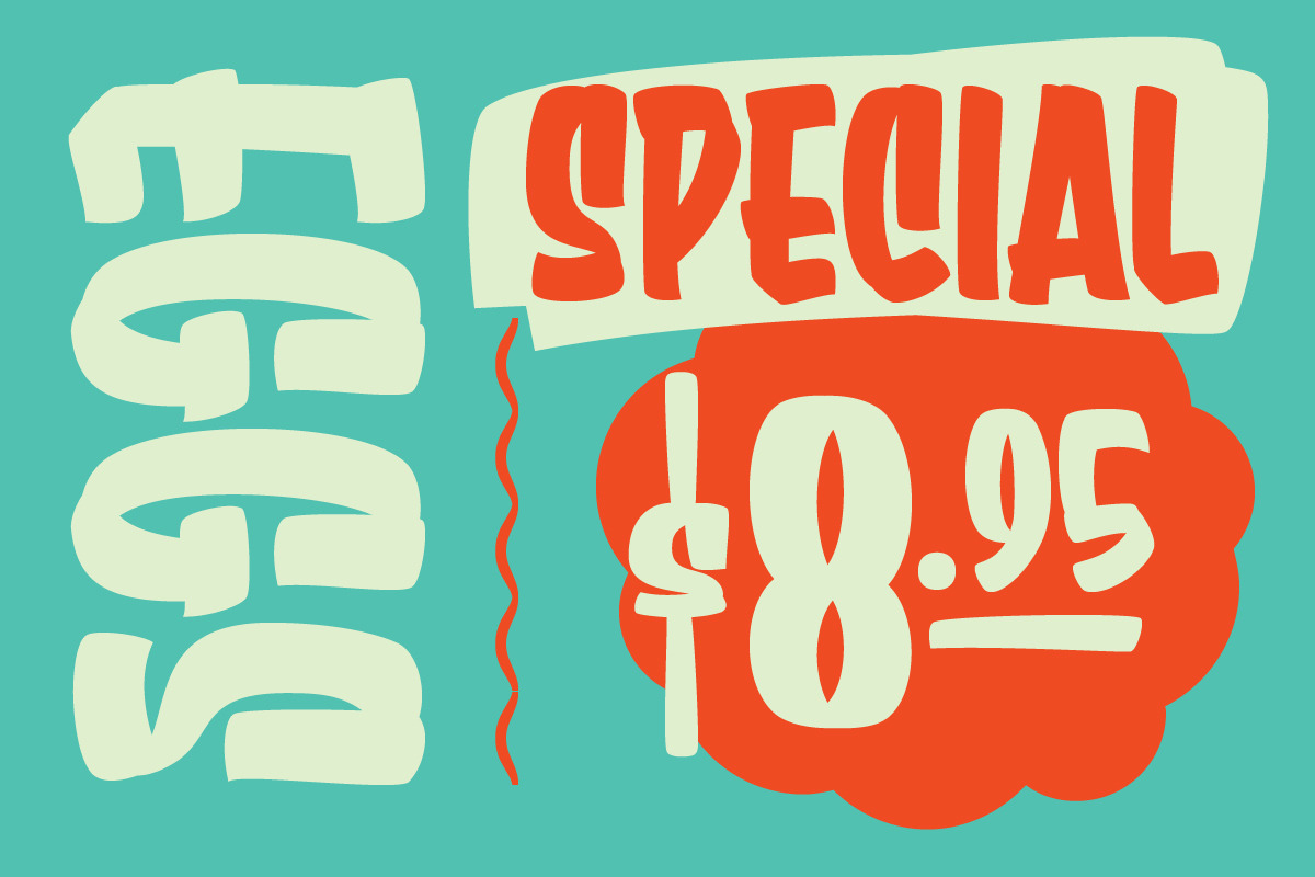 Sure Shot Casual Brush Script, a Script Font by Price Foundry (Photo 28 of 29)