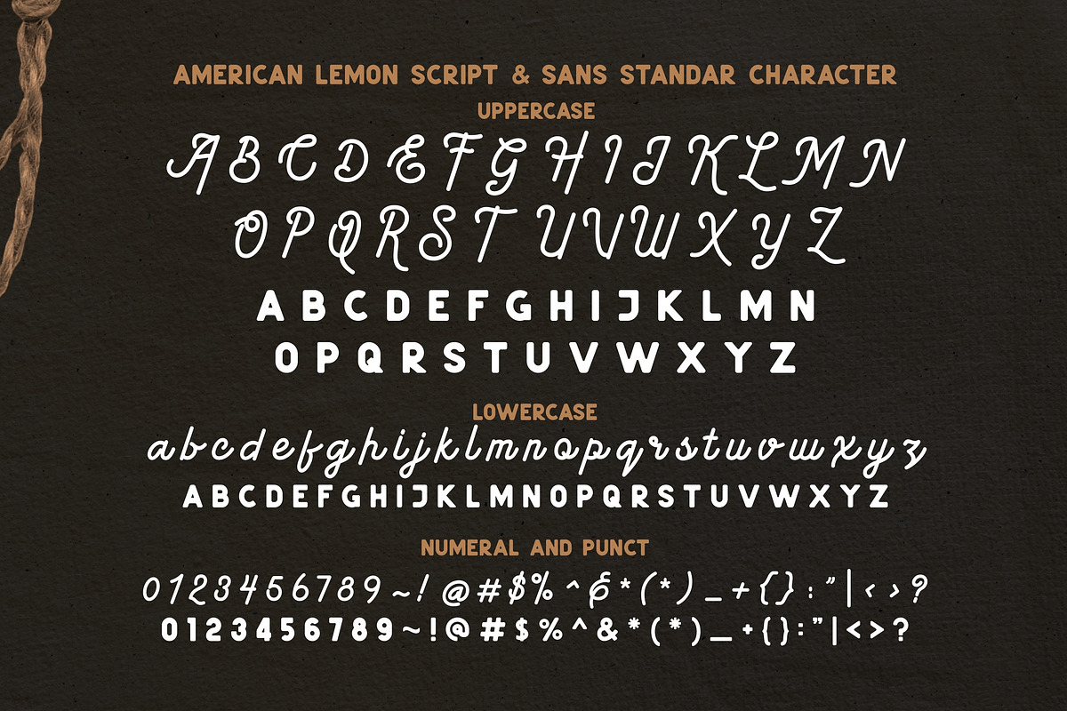 American Lemon Font Duo, a Script Font by ErgibiStudio (Photo 9 of 11)