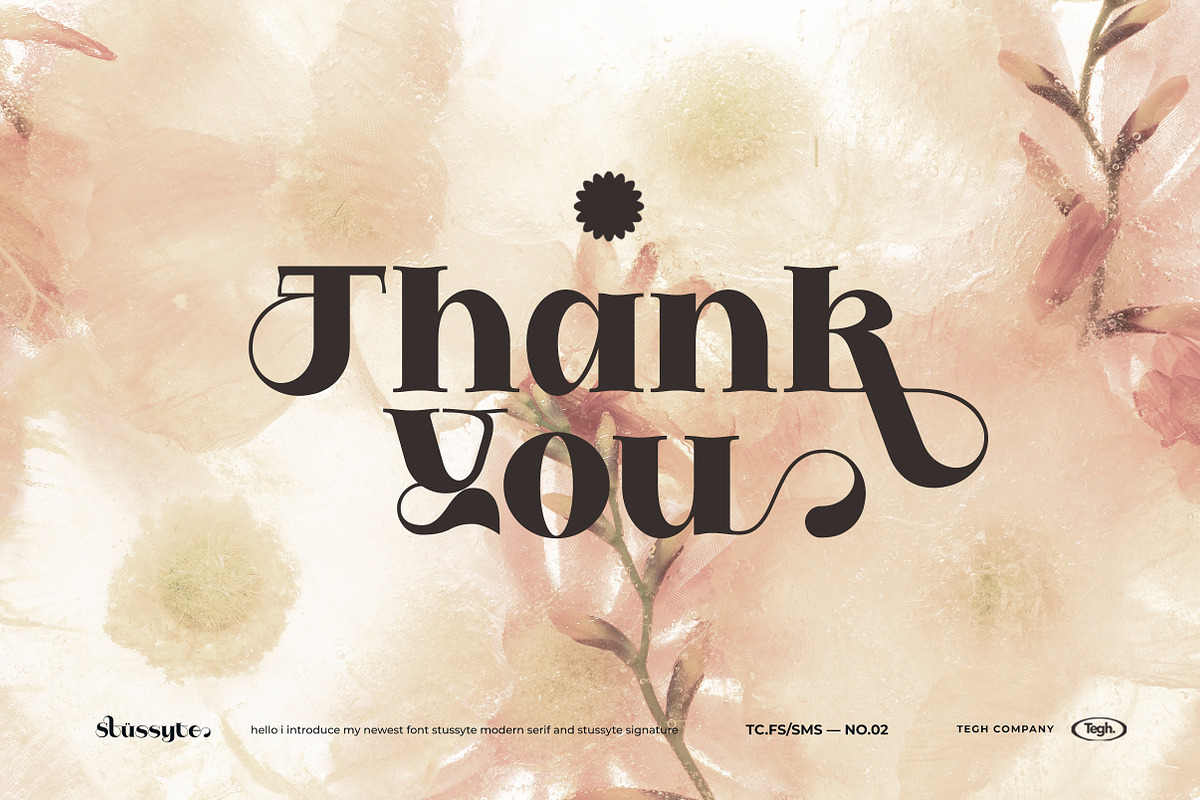 Stussyte Font Duo, a Serif Font by Tegh co. (Photo 15 of 15)