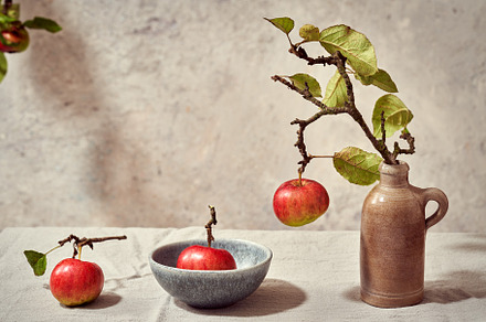 Autumn concept with fresh red apples, a Food & Drink Photo by Madeleine Steinbach