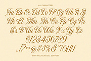 Maynada Wedding Script, a Script Font by Letterhend Studio (Thumbnail 6 of 9)