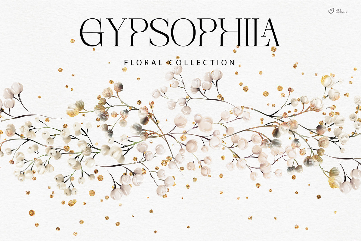 Gypsophila - watercolor flowers, an Object Illustration by ollalya (Photo 1 of 8)