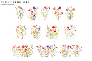 Watercolor Floral Borders Vibrant