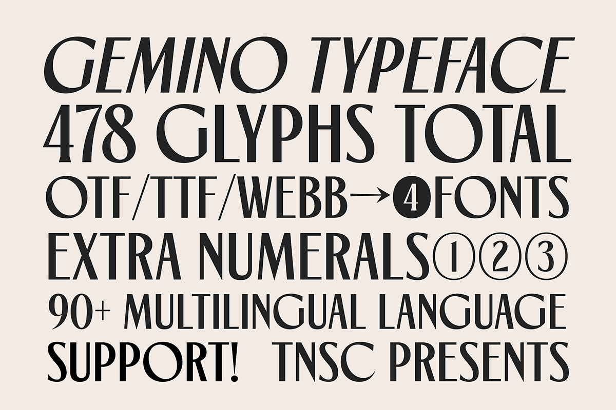 TNSC Gemino - Sans & Serif Typeface, a Serif Font by The Native Saint Club (Photo 11 of 14)